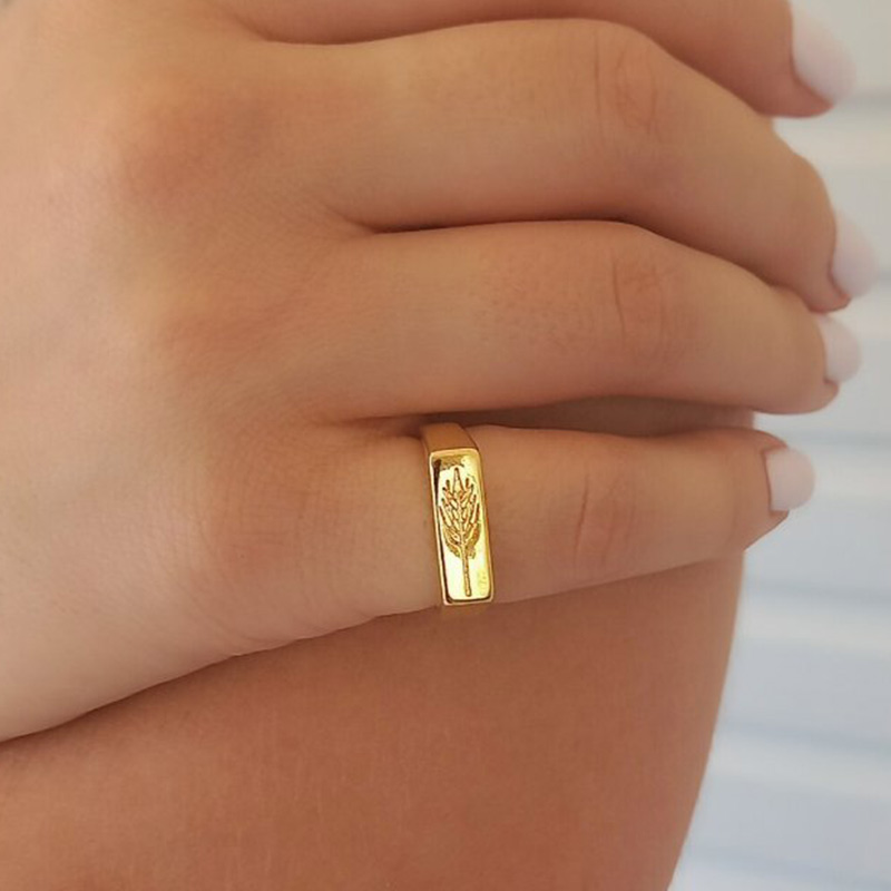 DRIMO - Δαχτυλίδι ασημένιο 925 chevalier - Image 2